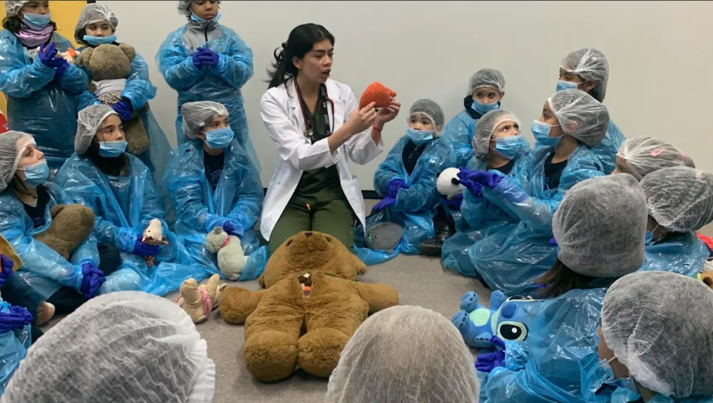 Hospital del osito Teddy