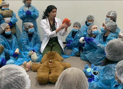 Hospital del osito Teddy